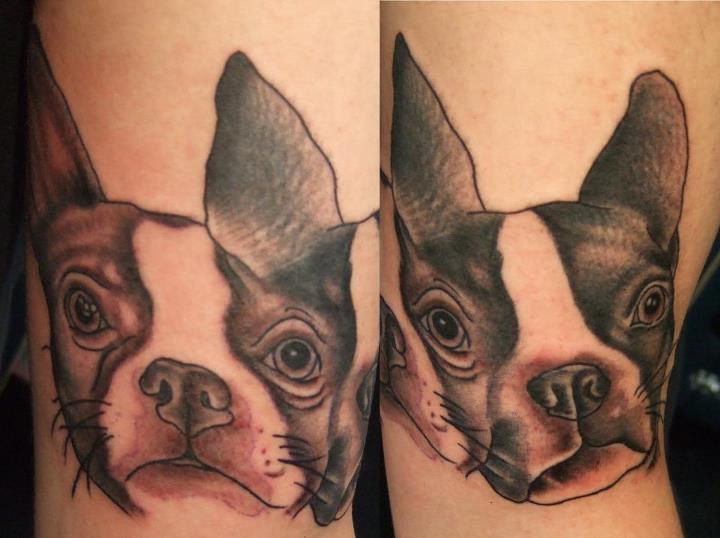Kyleo Dog