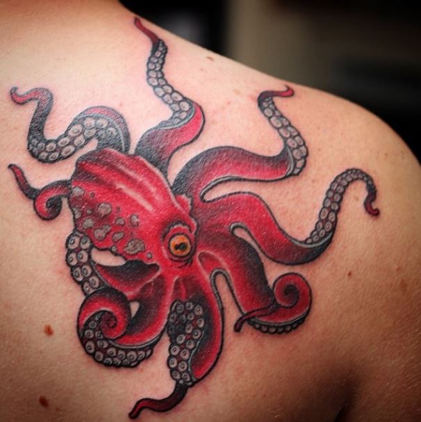 gk octopus