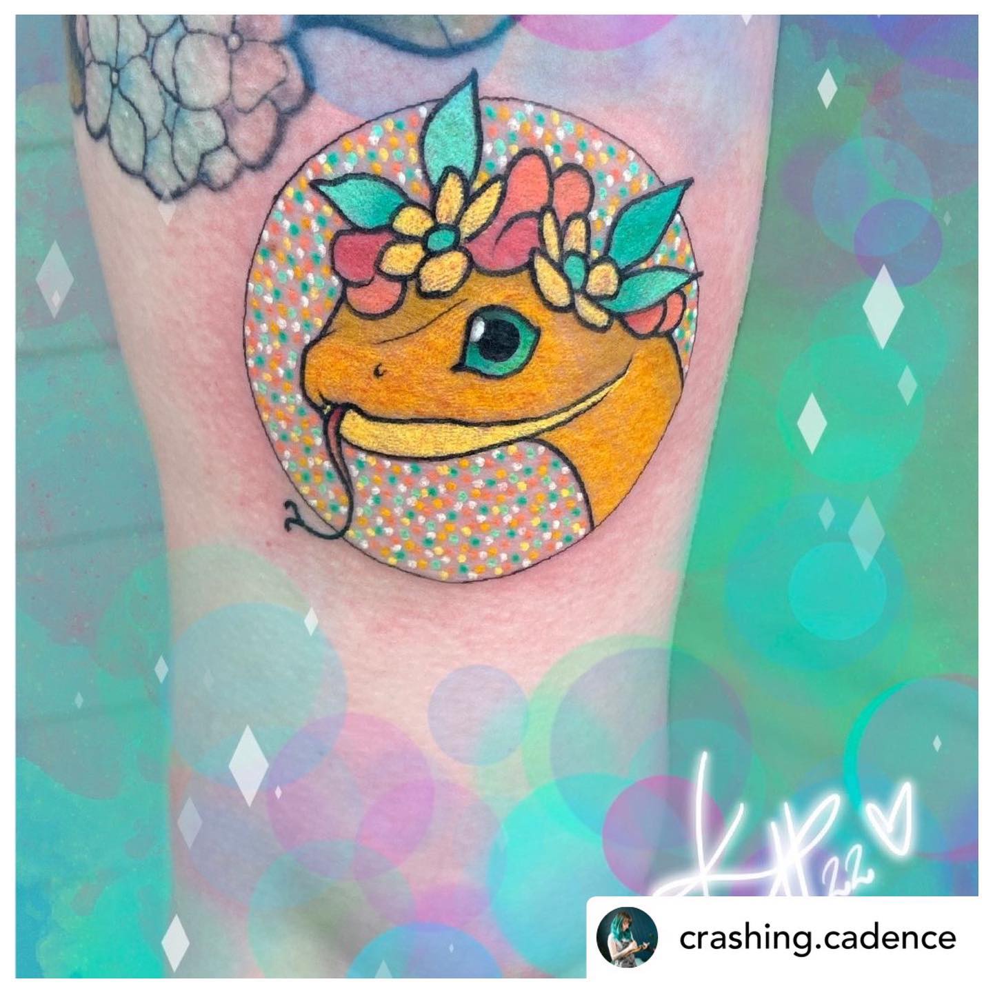 Did you know that @crashing.cadence does a semi regular guest spot with us? Link in bio to book. 🦖