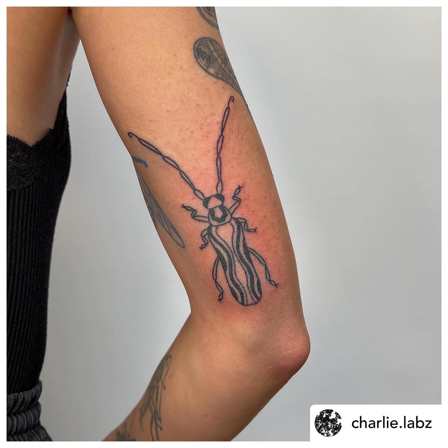 Tattoo by @charlie.labz Link in bio to book.
