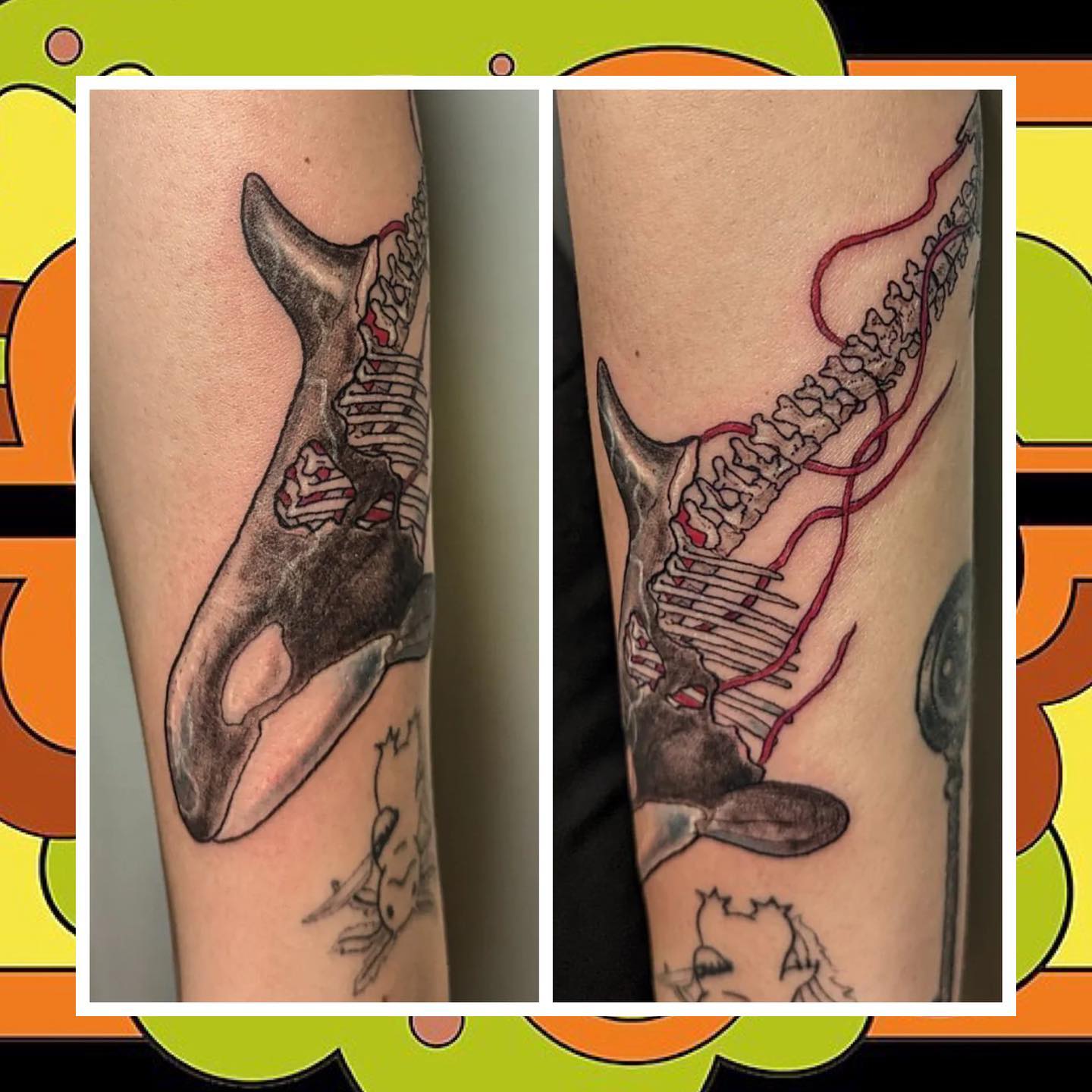 Just some Orca decay on a Friday. No big whoop. π³ Tattoo by @guttertattoo Link in bio to book.
#yyjtattoo #yyjtattoos #victoriatattoo #victoriabc #VictoriaTattooer #VictoriaTattooArtist #weLOVEtattooingyou